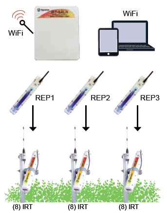 SapIP-IRT