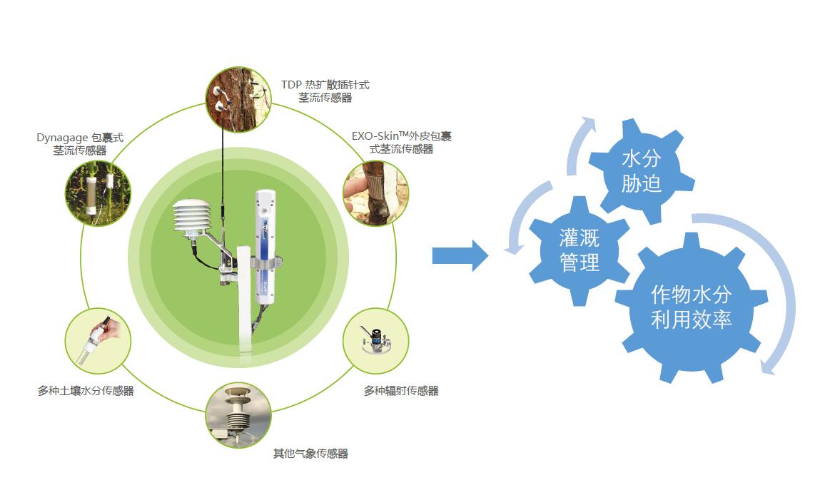 利用SapIP分布式植物生理生態(tài)監(jiān)測系統(tǒng)能做哪些研究？